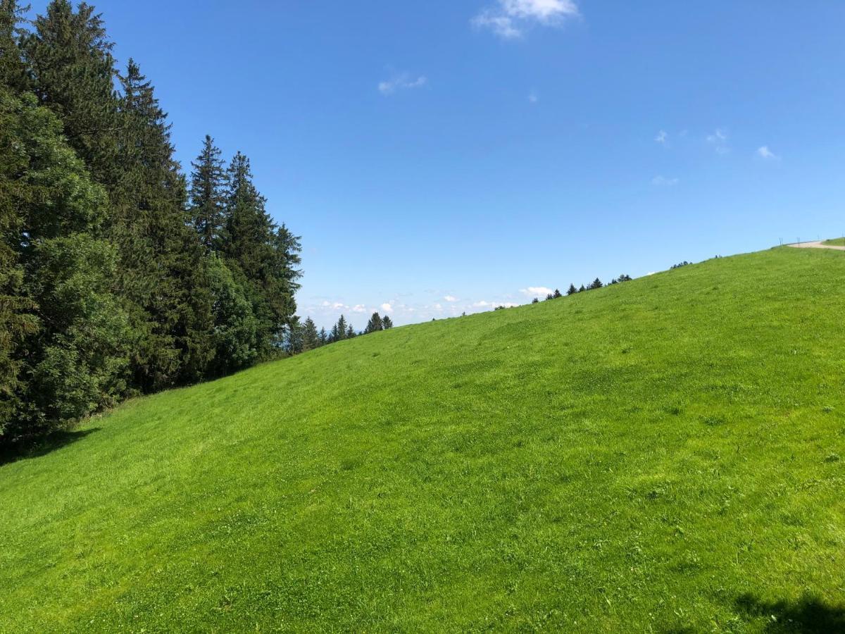 Gasthof Hirschen Wald