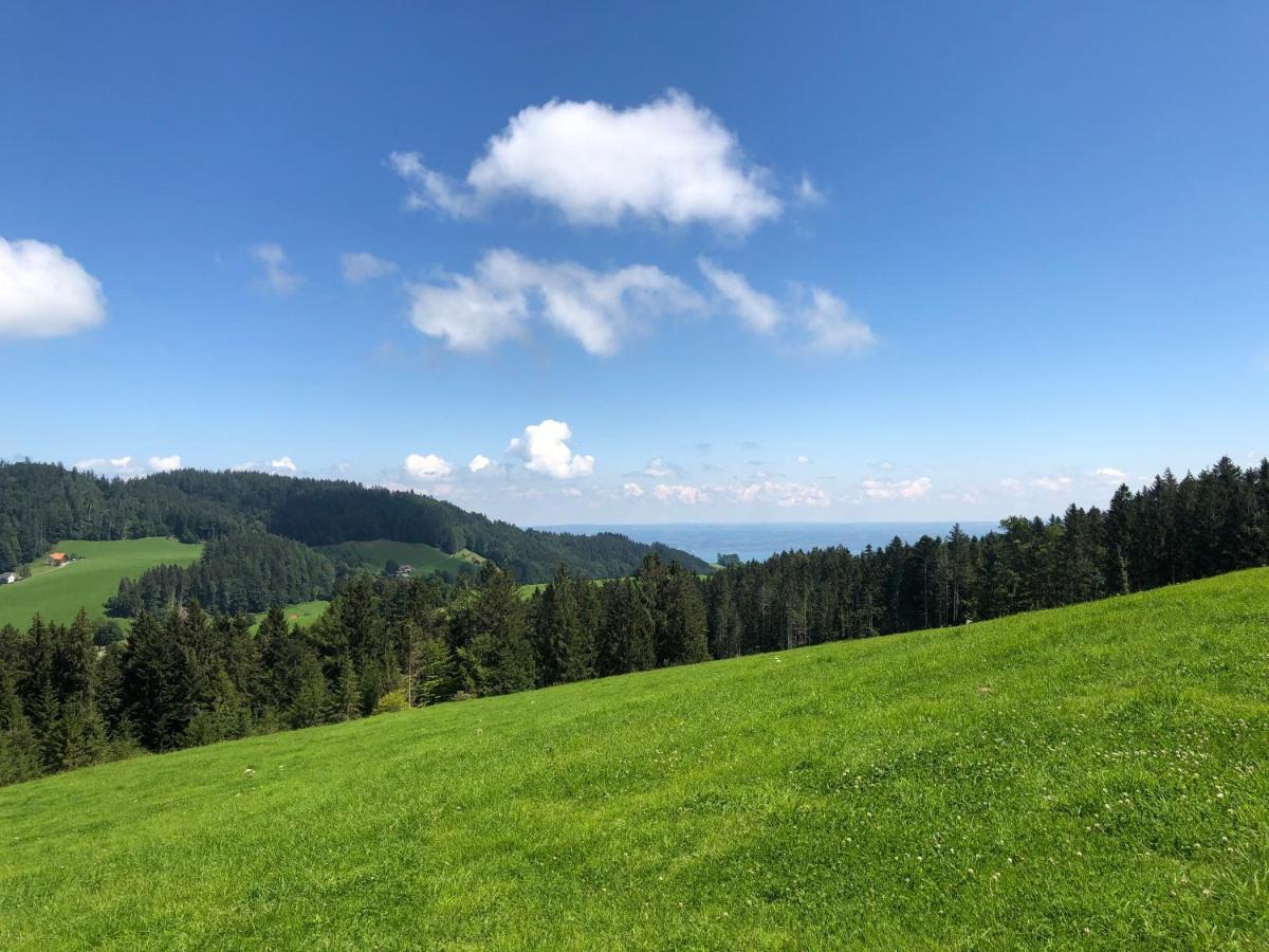 Gasthof Hirschen Wald 2*